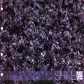 Shine